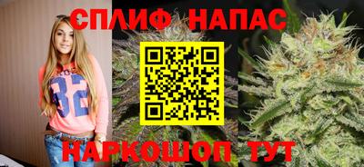 индика Тара