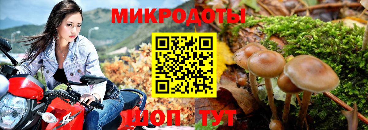 Псилоцибиновые грибы Psilocybine cubensis  Галлюциногенные грибы мицелий  Вход с VPN  Лыткарино 