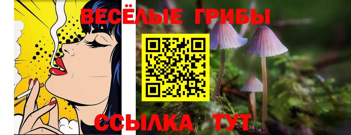Галлюциногенные грибы Psilocybine cubensis Лыткарино