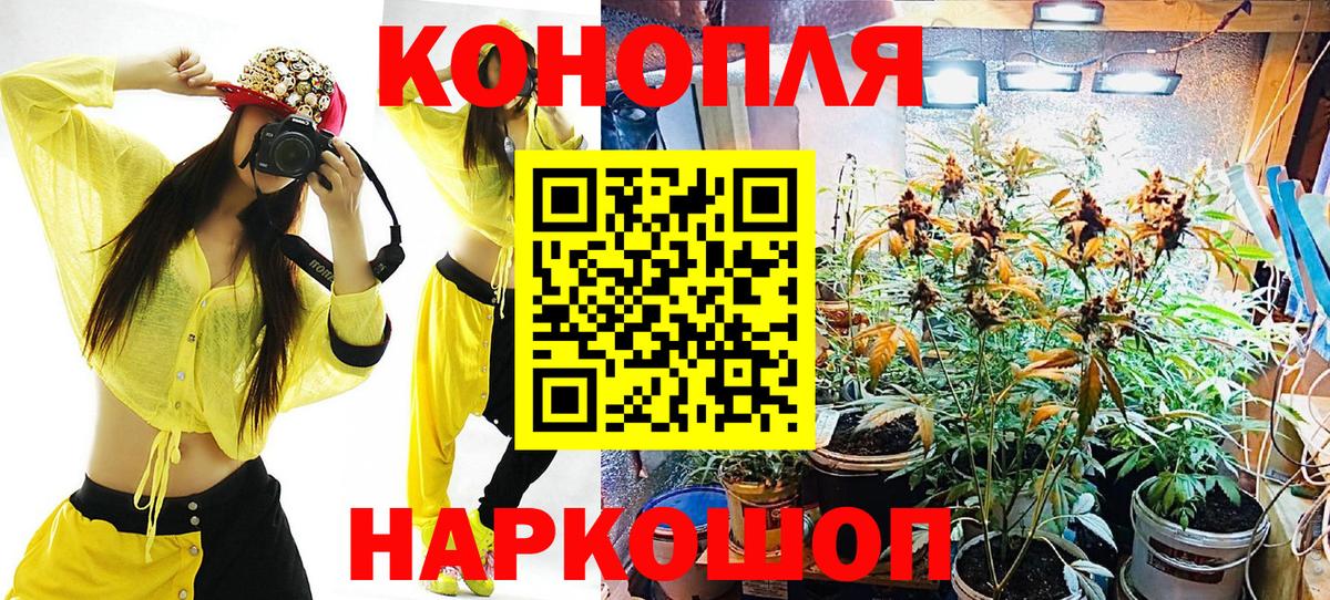 Каннабис ГИДРОПОН  Вход с VPN  Лыткарино  Канабис тримм  Бошки марихуана марихуана 
